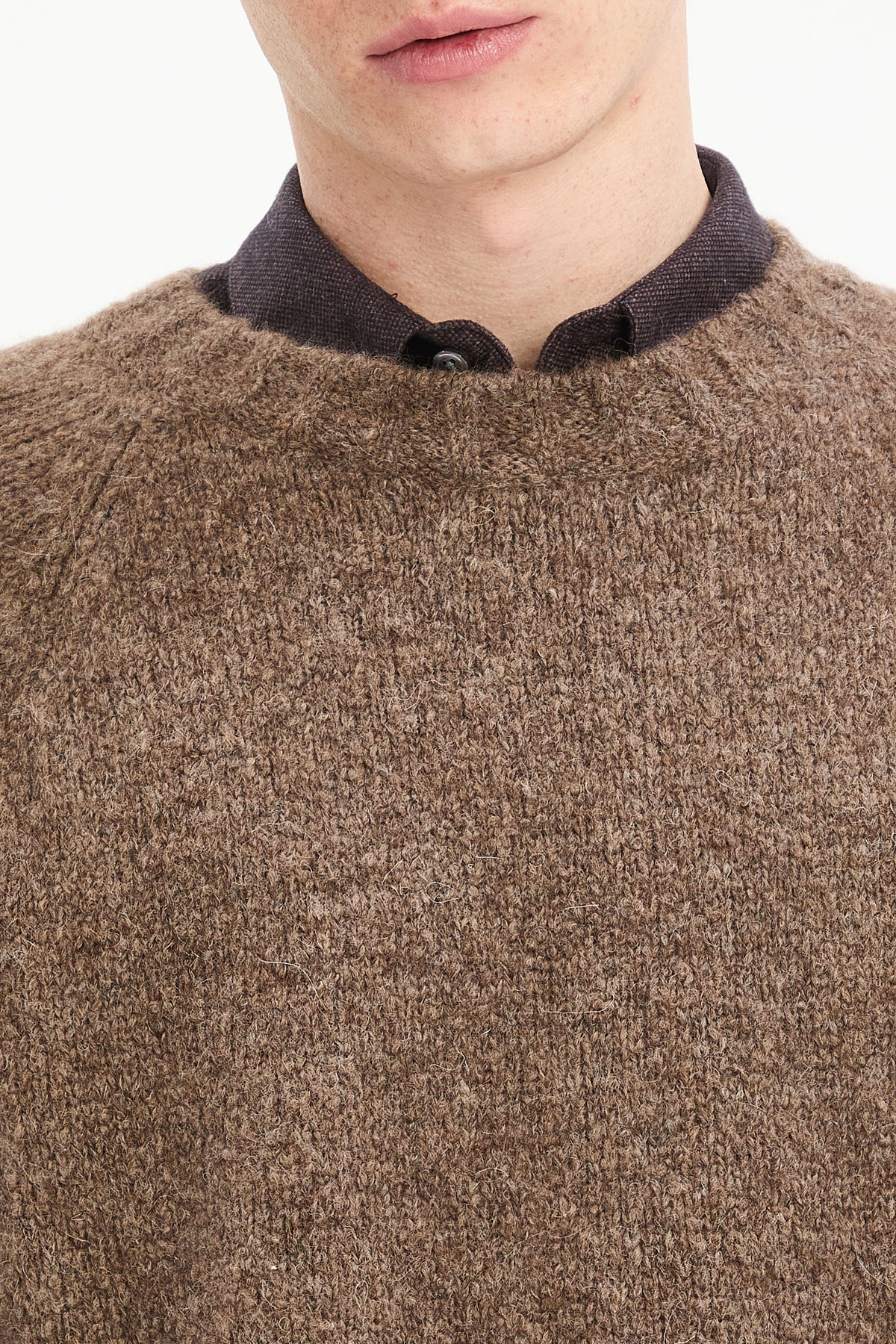 Crewneck Sweater in a Cinnamon Brown Brushed Sustainable Alpaca Wool