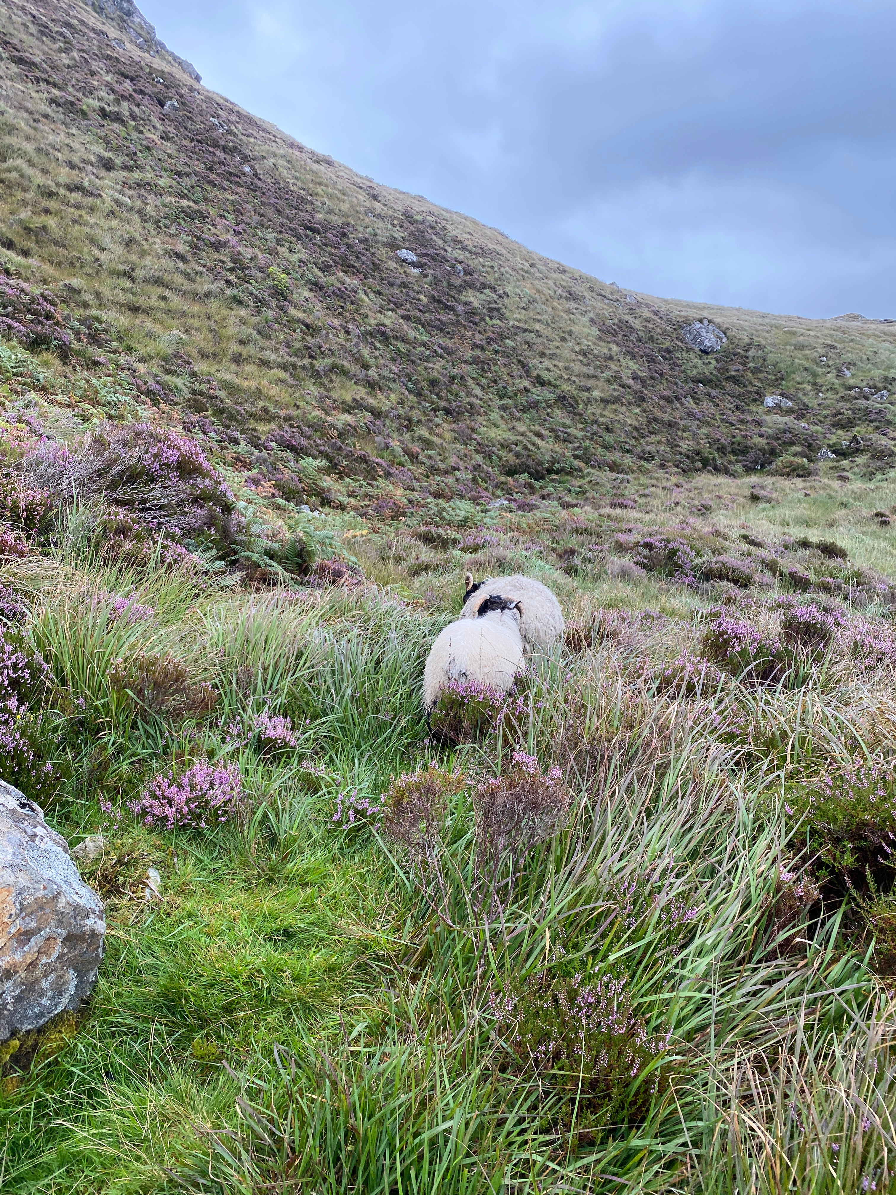 Strong Shirt in a Grey Recycled Structural Italian Cotton Flannel - Sample